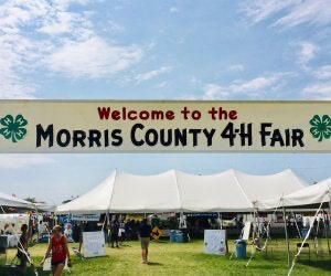 4-H Fair